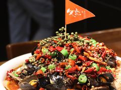 -必点海鲜·鲅鱼水饺(鞍山西道店)