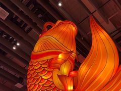 -天辣(金桥啦啦宝都店)