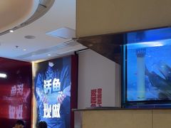 -老板恋上鱼(恒隆广场店)