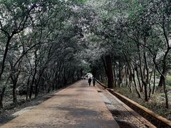 -灵谷景区