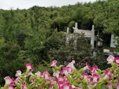 -旺山·浪头人家