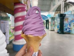 -百万葵园