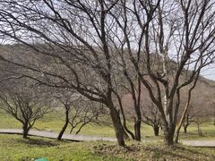 -大水川景区