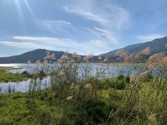 -腾冲北海湿地