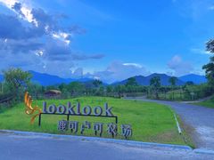 -天目山大树王景区