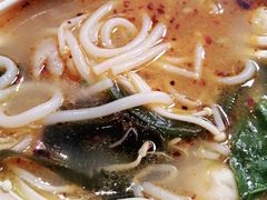 -苏氏牛肉面(丰北桥店)