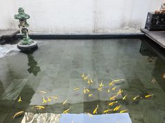 -觀芷隐轩