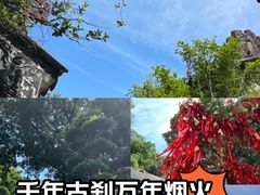 -国恩寺
