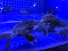 -高老庄新家宴(北斗星广场店)