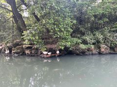 -兰亭风景区