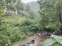 -重庆彩云湖湿地公园