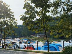 -武陵山森林公园