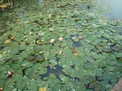 -艾溪湖湿地公园