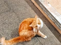 -海勤盛海味干货市场(一德路店)