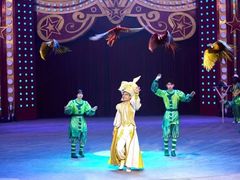 -珠海横琴长隆《卡卡虎奇遇记》