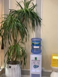 -美莱医疗美容医院