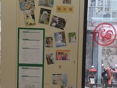 -爱妮康宠物医院·异宠·肿瘤(张江店)