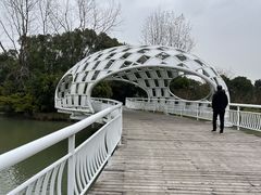 -同里国家湿地公园