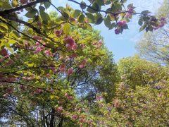 -BUND·FIVE外滩5号(天际店)