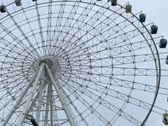 -琴岛之星摩天轮