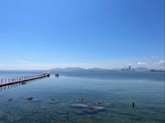 -养马岛旅游度假区