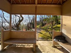 -常寂光寺