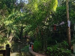 -凤栖山
