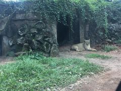 -海南热带野生动植物园