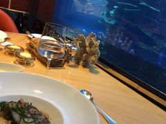 -迪拜帆船酒店海底餐厅