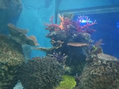 -大明湖海底世界