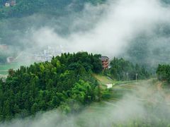 -紫鹊界梯田景区