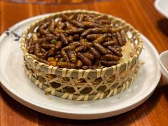 爆炒蝉蛹-顺德了能馆(虎门店)