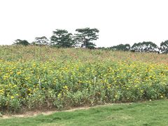 -迪茵湖田家舍生态农场
