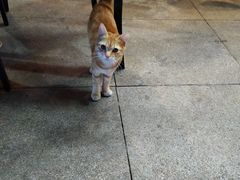 -嘉定宝龙广场