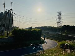 -福田红树林生态公园