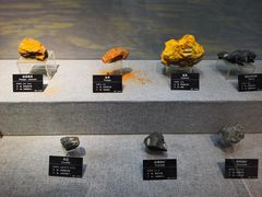 -甘肃地质博物馆