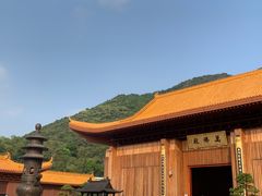 -深圳仙湖植物园