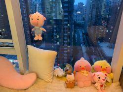 -净妍美肌专业净毛嫩肤连锁机构