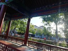 -莲花池公园