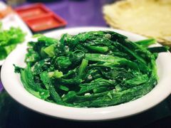 -佶政筋饼·新概念(安阳路店)