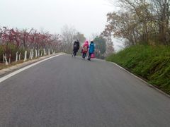 -南京市江宁方山