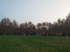 -南汇嘴观海公园