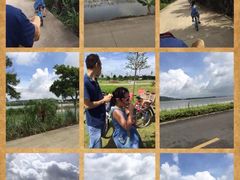 iphone_upload_pic-海鸥岛