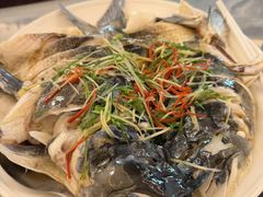 -杨记新泉美食