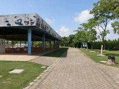 游乐设施-上海海湾国家森林公园