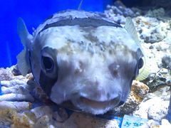 -华夏文旅西安度假区