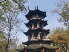 -西溪国家湿地公园