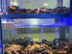 -南海渔村(珠江新城店)