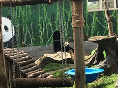 -南昌动物园