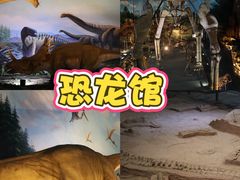 -中国西峡恐龙遗迹园